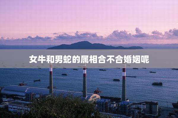 女牛和男蛇的属相合不合婚姻呢