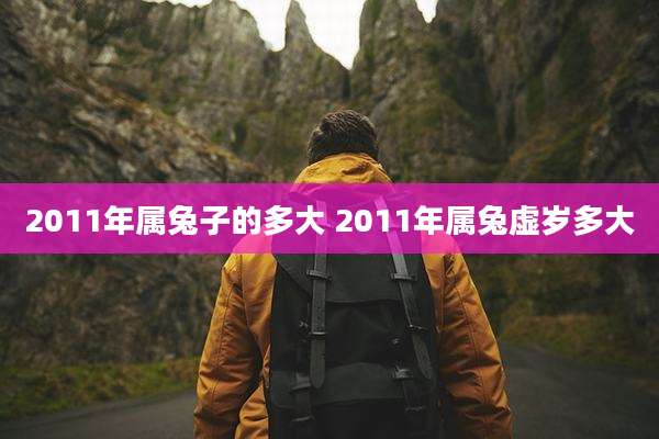 2011年属兔子的多大 2011年属兔虚岁多大