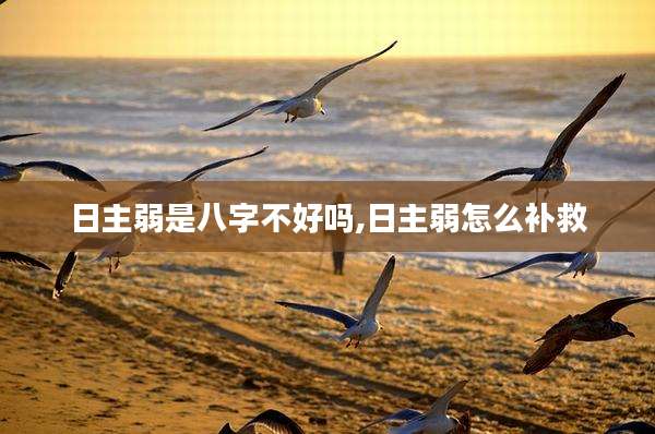 日主弱是八字不好吗,日主弱怎么补救