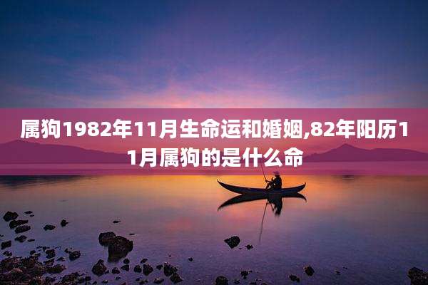 属狗1982年11月生命运和婚姻,82年阳历11月属狗的是什么命