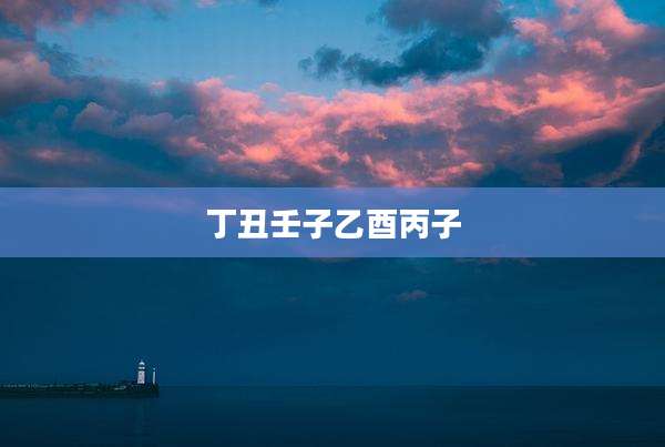 丁丑壬子乙酉丙子