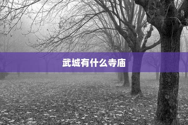 武城有什么寺庙