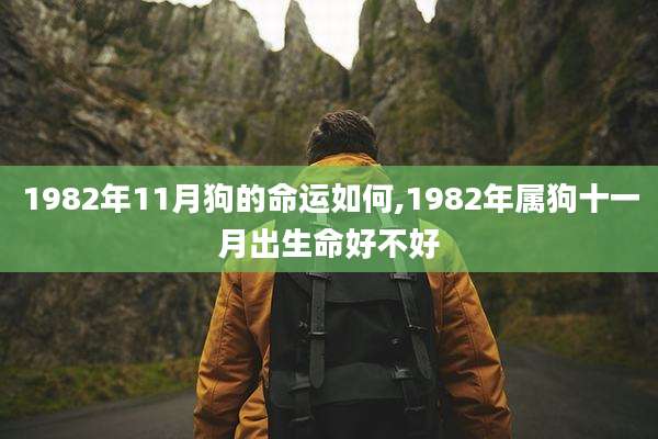 1982年11月狗的命运如何,1982年属狗十一月出生命好不好