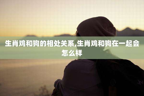 生肖鸡和狗的相处关系,生肖鸡和狗在一起会怎么样