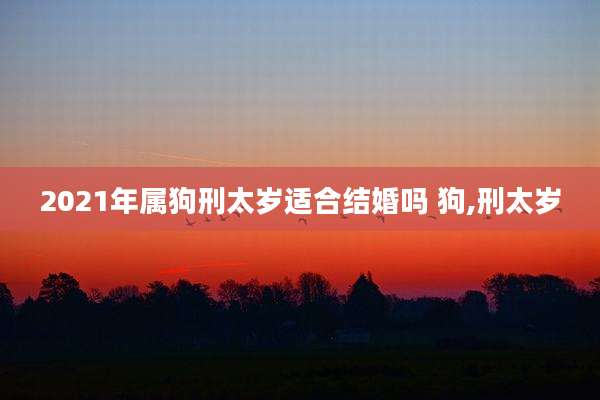 2021年属狗刑太岁适合结婚吗 狗,刑太岁