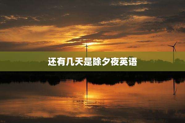 还有几天是除夕夜英语
