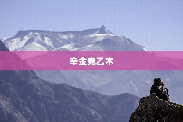 辛金克乙木