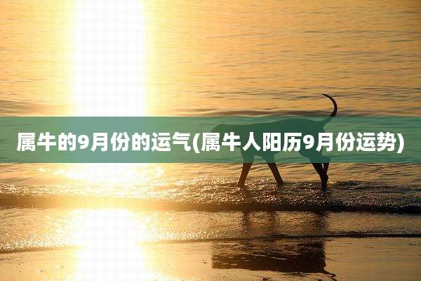 属牛的9月份的运气(属牛人阳历9月份运势)