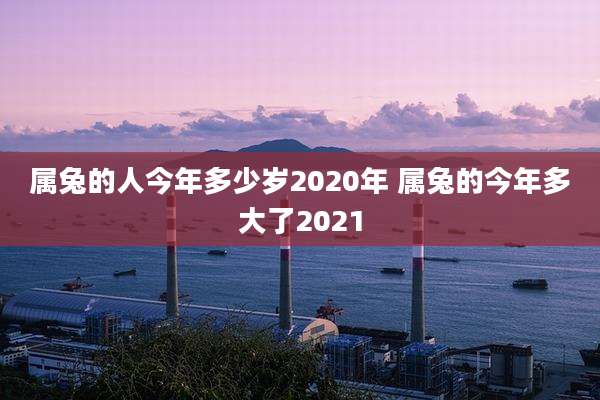 属兔的人今年多少岁2020年 属兔的今年多大了2021