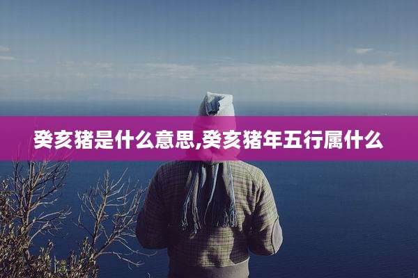 癸亥猪是什么意思,癸亥猪年五行属什么