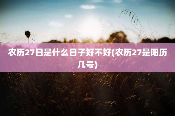 农历27日是什么日子好不好(农历27是阳历几号)