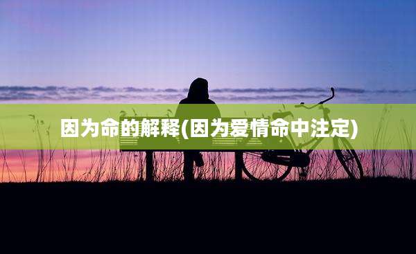 因为命的解释(因为爱情命中注定)