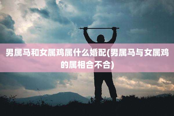 男属马和女属鸡属什么婚配(男属马与女属鸡的属相合不合)