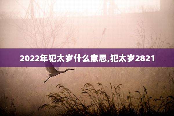 2022年犯太岁什么意思,犯太岁2821