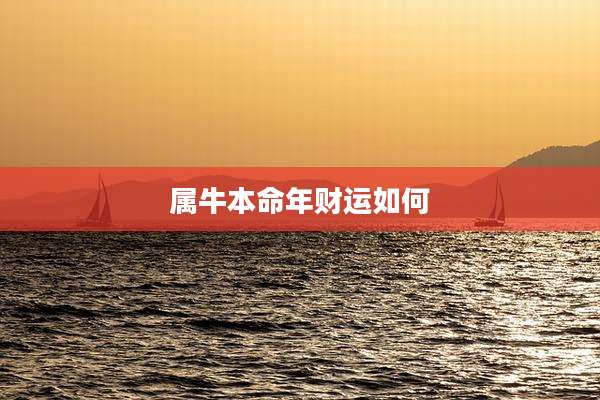 属牛本命年财运如何