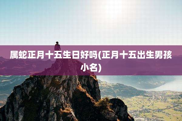 属蛇正月十五生日好吗(正月十五出生男孩小名)