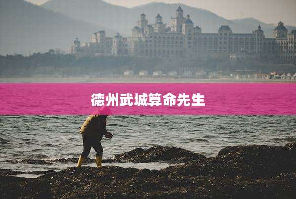 德州武城算命先生