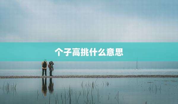 个子高挑什么意思