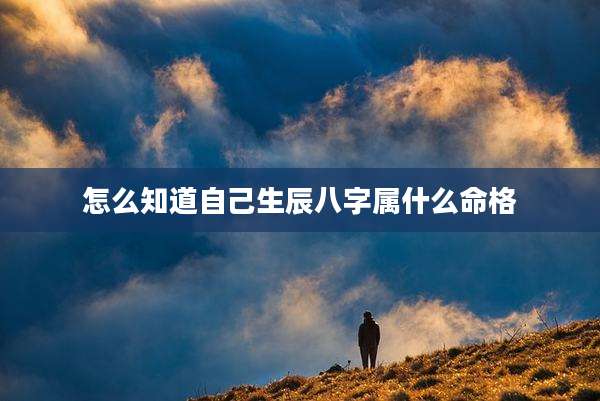 怎么知道自己生辰八字属什么命格