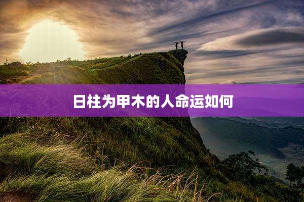 日柱为甲木的人命运如何