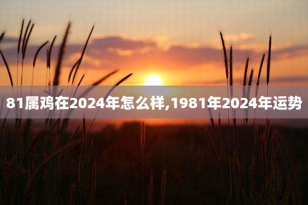 81属鸡在2024年怎么样,1981年2024年运势