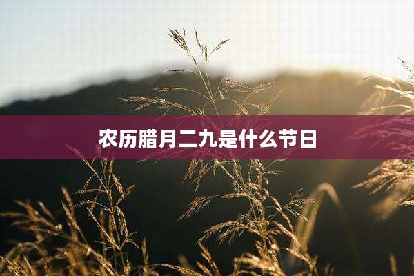 农历腊月二九是什么节日