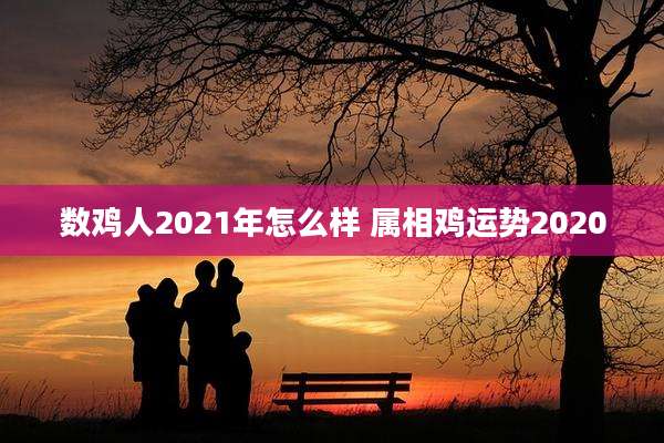 数鸡人2021年怎么样 属相鸡运势2020