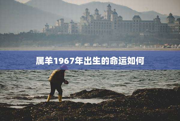 属羊1967年出生的命运如何