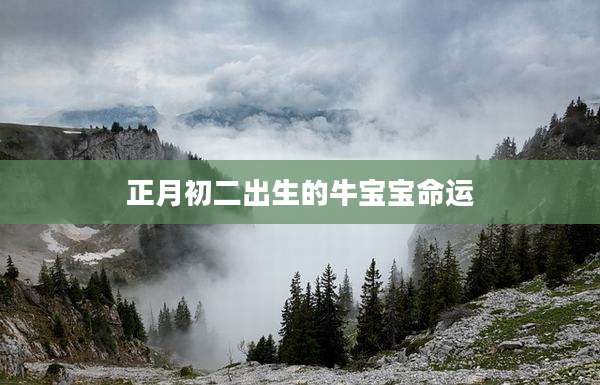 正月初二出生的牛宝宝命运