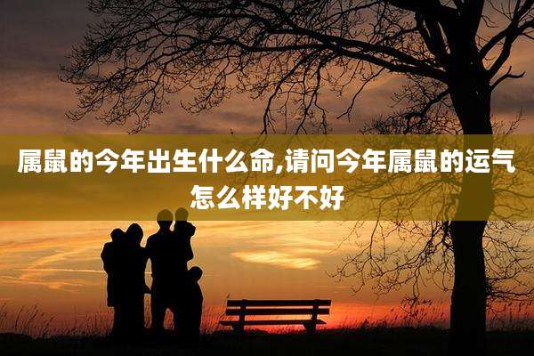 属鼠的今年出生什么命,请问今年属鼠的运气怎么样好不好
