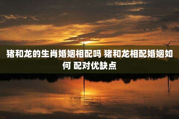 猪和龙的生肖婚姻相配吗 猪和龙相配婚姻如何 配对优缺点