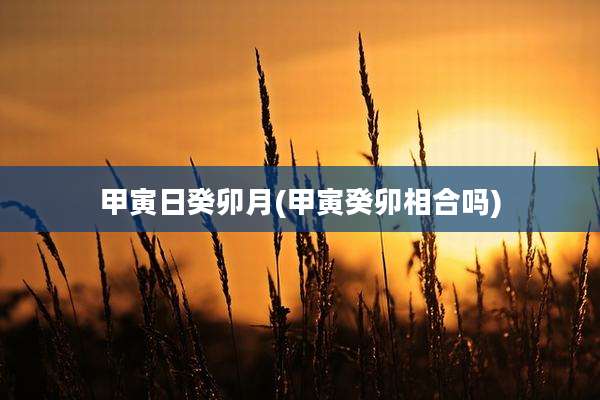甲寅日癸卯月(甲寅癸卯相合吗)