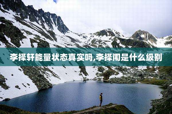 李择轩能量状态真实吗,李择闱是什么级别