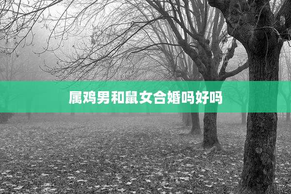 属鸡男和鼠女合婚吗好吗