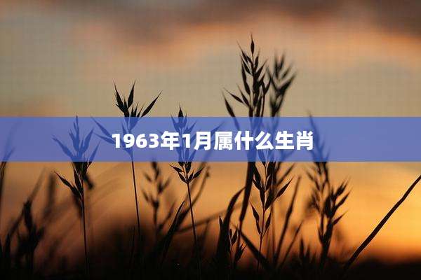 1963年1月属什么生肖