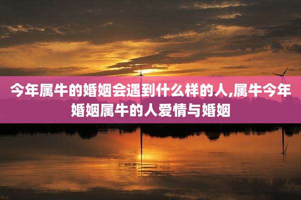 今年属牛的婚姻会遇到什么样的人,属牛今年婚姻属牛的人爱情与婚姻