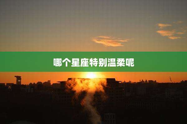哪个星座特别温柔呢