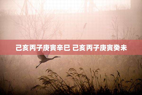 己亥丙子庚寅辛巳 己亥丙子庚寅癸未