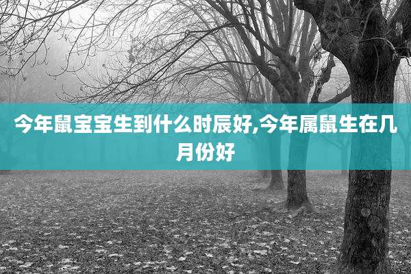 今年鼠宝宝生到什么时辰好,今年属鼠生在几月份好