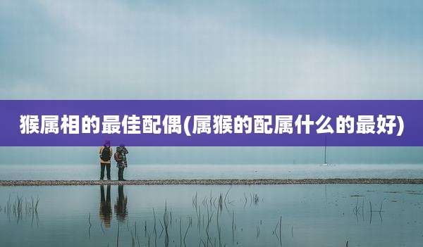 猴属相的最佳配偶(属猴的配属什么的最好)