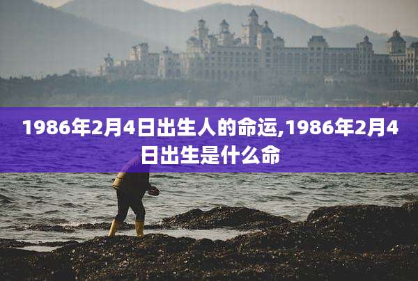 1986年2月4日出生人的命运,1986年2月4日出生是什么命