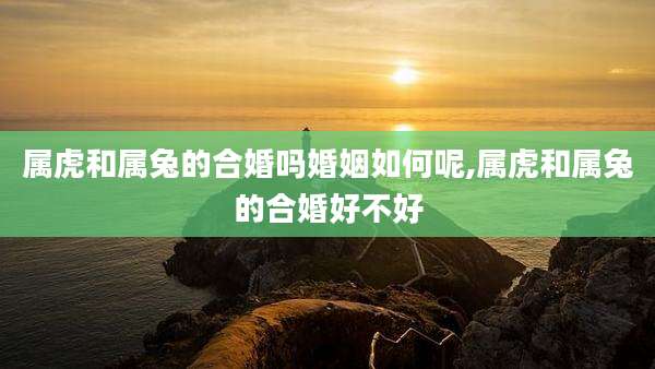 属虎和属兔的合婚吗婚姻如何呢,属虎和属兔的合婚好不好