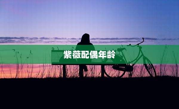 紫薇配偶年龄