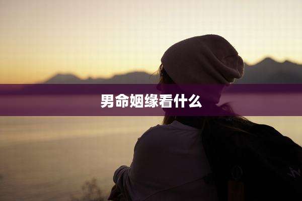 男命姻缘看什么