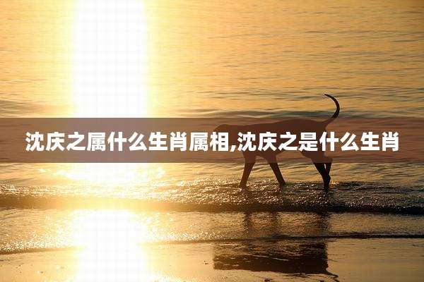 沈庆之属什么生肖属相,沈庆之是什么生肖