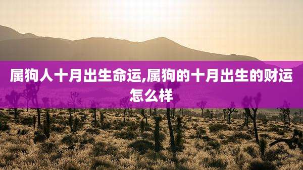 属狗人十月出生命运,属狗的十月出生的财运怎么样