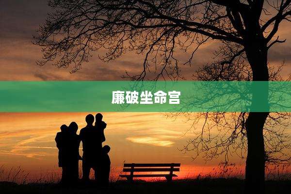 廉破坐命宫