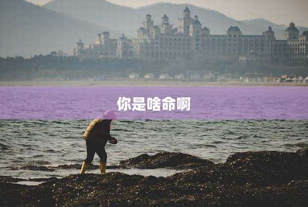你是啥命啊