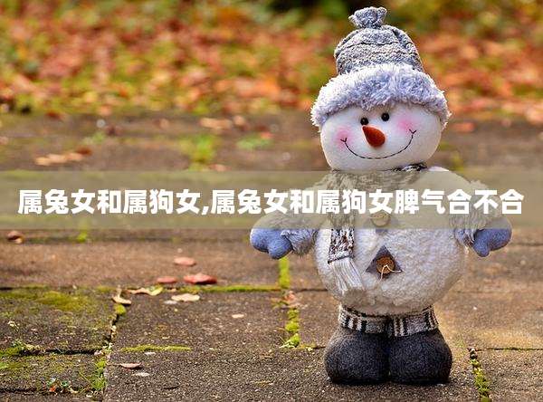 属兔女和属狗女,属兔女和属狗女脾气合不合