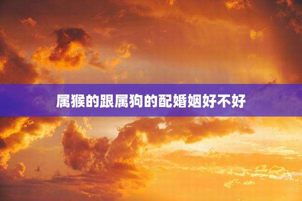 属猴的跟属狗的配婚姻好不好
